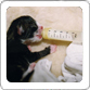 Photo galerie